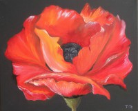 /album/a102-peintures-sur-huile/b21a-76-dscf8232-coquelicot-sept-2010-jpg/